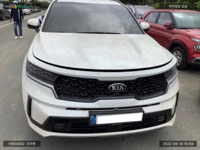 2020 Kia Sorento KNARL81GDMA028217 VIN:KNARL81GDMA028217