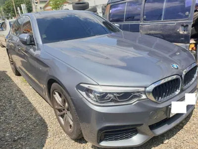 2020 BMW 520 WBAJF3102LCD32124 VIN:WBAJF3102LCD32124