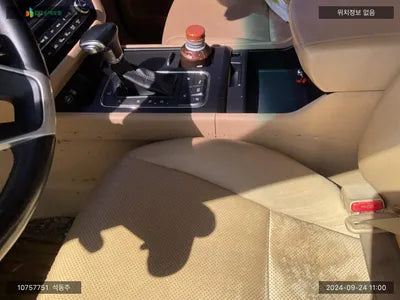 2017 Kia Carnival KNAMB81ABHS306461 VIN:KNAMB81ABHS306461