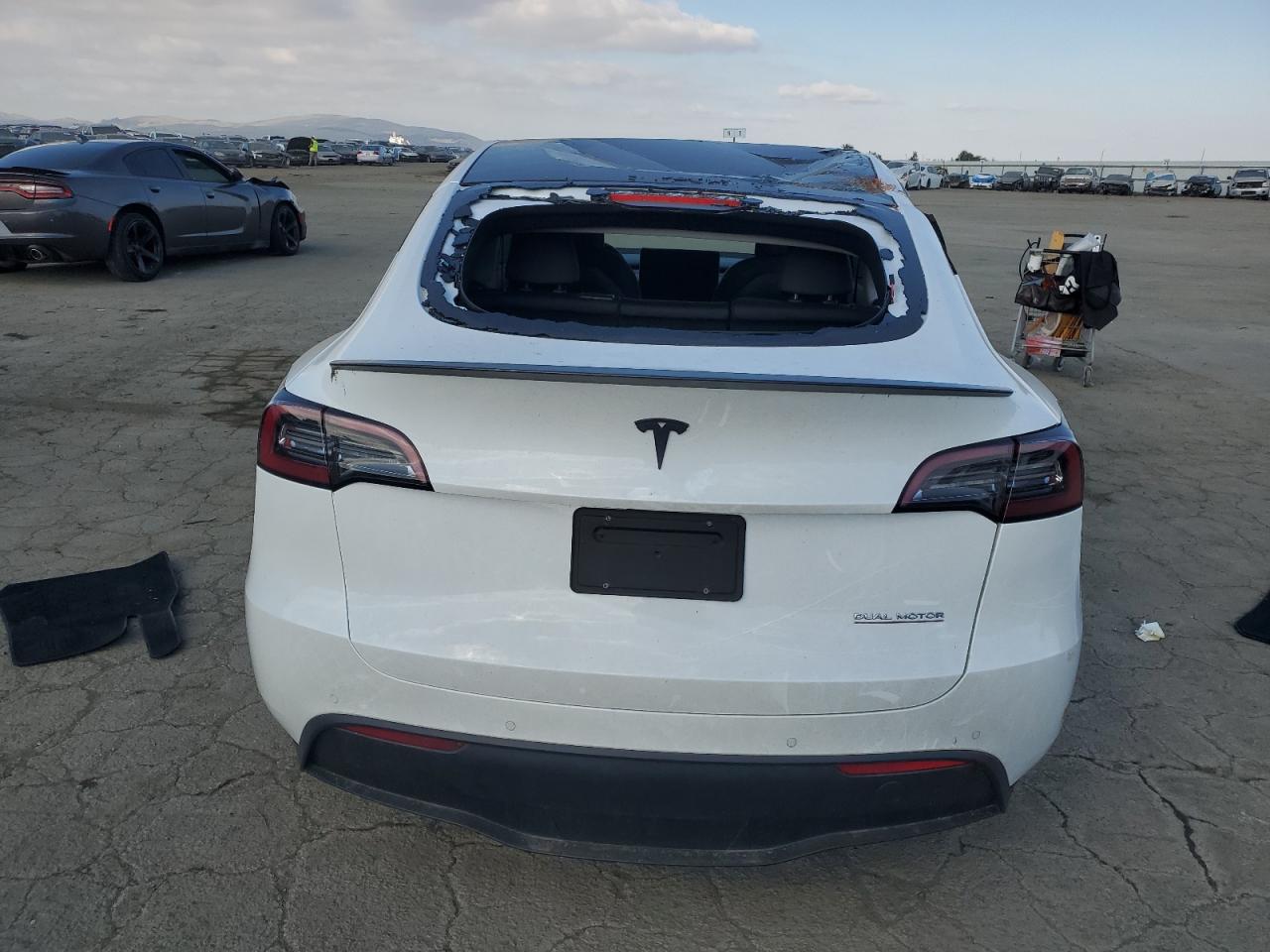 2022 TESLA MODEL Y  VIN:7SAYGDEF1NF342071