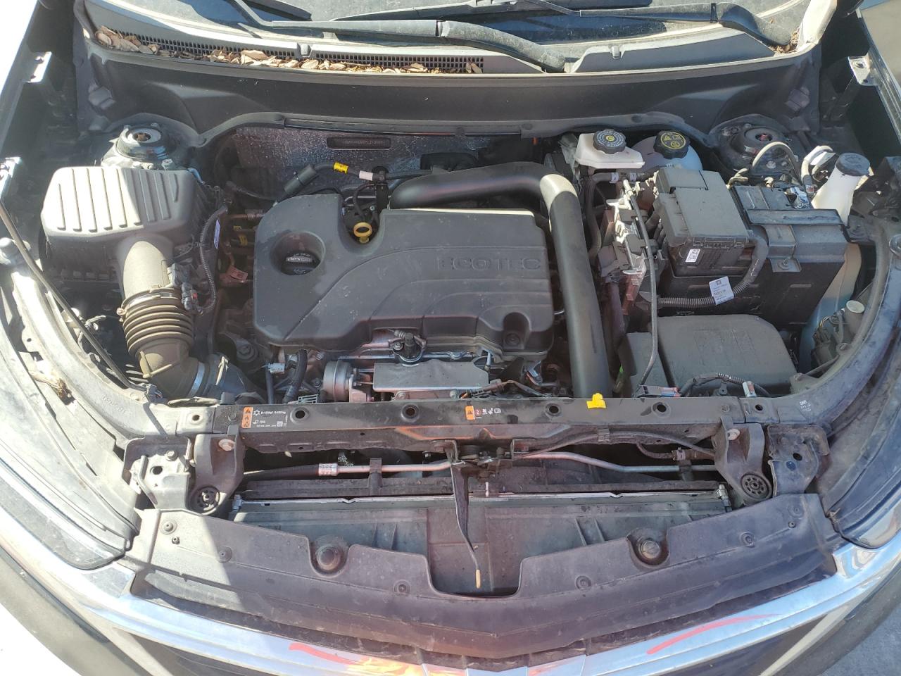 2023 CHEVROLET EQUINOX LS VIN:3GNAXHEG0PL213569