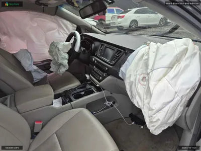 2018 Kia Carnival KNAMB81ABJS419041 VIN:KNAMB81ABJS419041