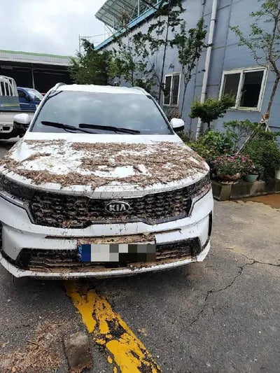 2021 Kia Sorento VIN: