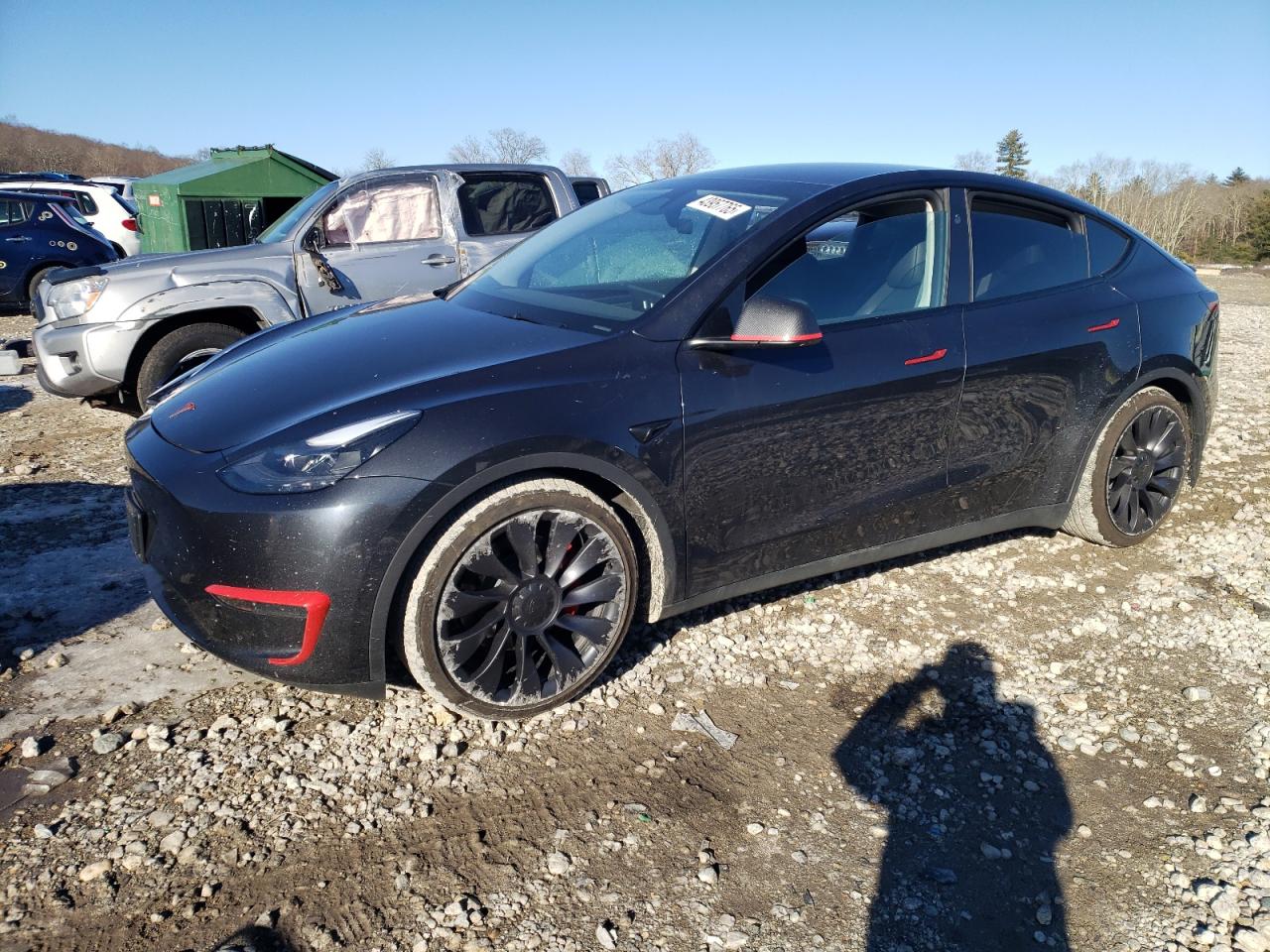 2024 TESLA MODEL Y  VIN:7SAYGDEF6RF033881
