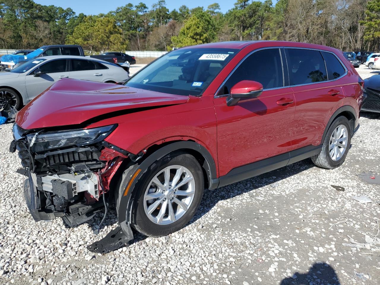 2024 HONDA CR-V EXL VIN:2HKRS3H78RH304231