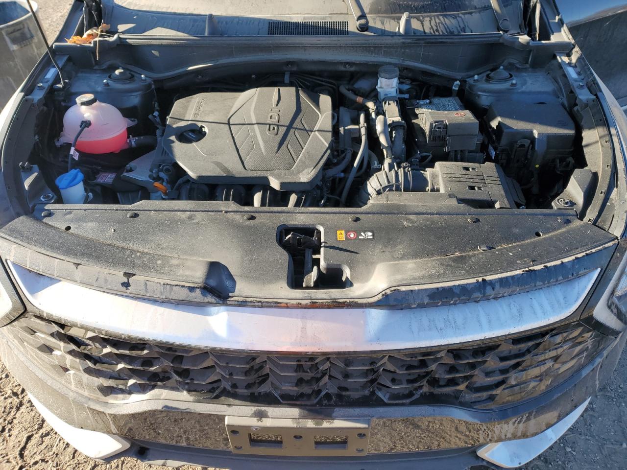2024 KIA SPORTAGE EX VIN:5XYK3CDFXRG233343