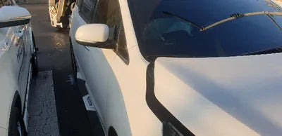 2019 Kia Carnival KNAME81ABKS503293 VIN:KNAME81ABKS503293