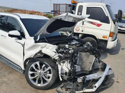 2020 Kia Sorento KNARK81BGMA038540 VIN:KNARK81BGMA038540