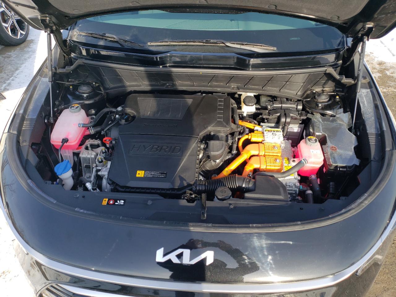 2024 KIA NIRO EX VIN:KNDCR3LE8R5152863