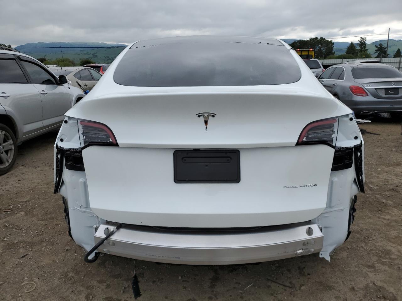 2024 TESLA MODEL Y  VIN:7SAYGDEE1RF985534