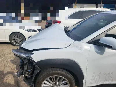 2020 Hyundai Kona KMHK4815GLU551938 VIN:KMHK4815GLU551938