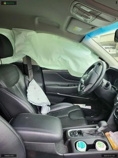 2019 Hyundai Santa FE KMHS381ABKU141821 VIN:KMHS381ABKU141821