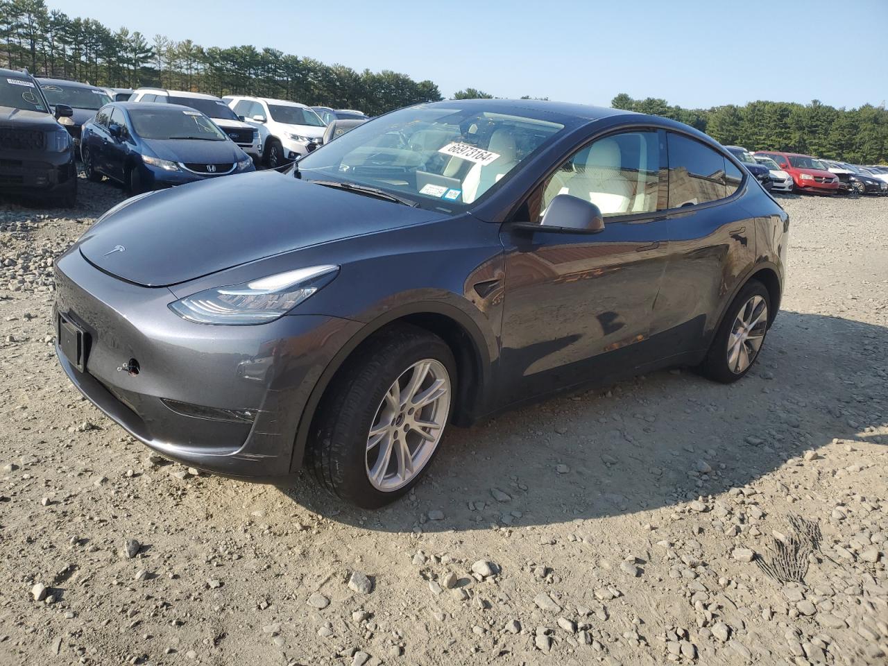 2023 TESLA MODEL Y  VIN:7SAYGDEE8PF589095