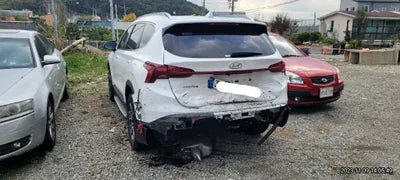 2021 Hyundai Santa FE KMHS381HGMU399703 VIN:KMHS381HGMU399703