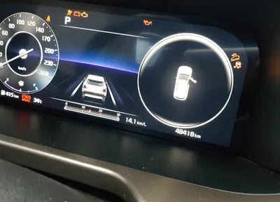 2021 Kia Sorento KNARF81BHMA034257 VIN:KNARF81BHMA034257