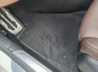 2021 BMW 745 WBA7D6109MCG70834 VIN:WBA7D6109MCG70834