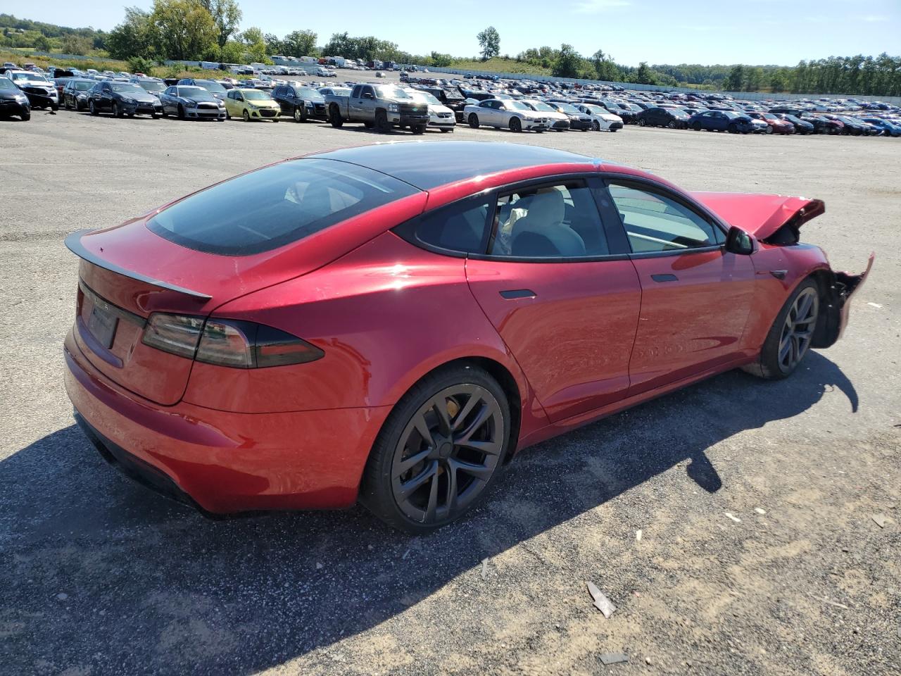 2023 TESLA MODEL S  VIN:5YJSA1E59PF519009