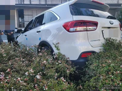 2017 Kia Sorento KNAPS81ABHA322489 VIN:KNAPS81ABHA322489