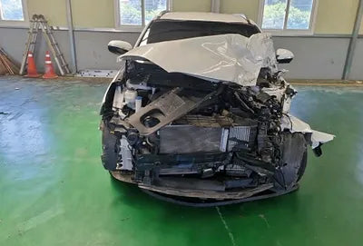 2020 Kia Sorento KNAPK81BDLA604954 VIN:KNAPK81BDLA604954