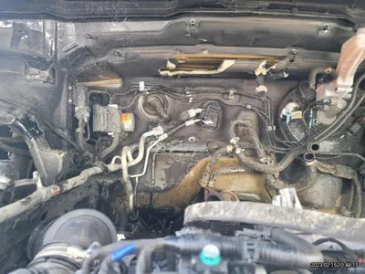 2021 Kia Carnival KNANC81BBMS075726 VIN:KNANC81BBMS075726