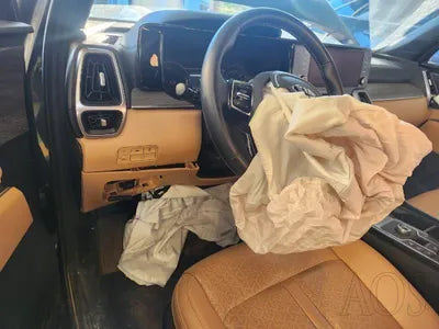 2021 Kia Sorento KNARJ81GBMA031676 VIN:KNARJ81GBMA031676