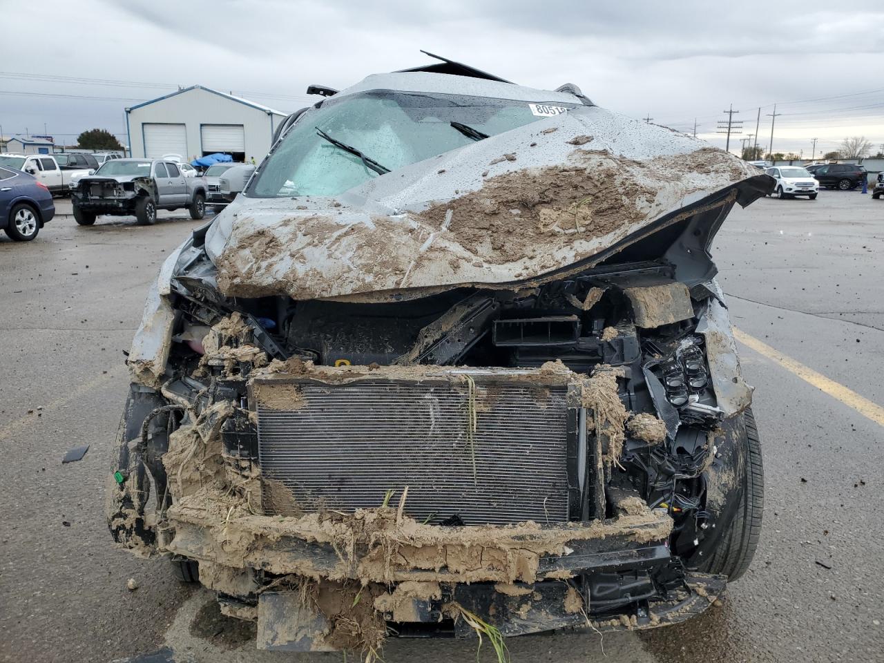 2024 KIA TELLURIDE EX VIN:5XYP3DGC9RG528916