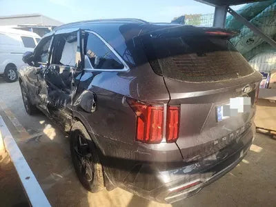 2021 Kia Sorento KNARH81GBMA057653 VIN:KNARH81GBMA057653