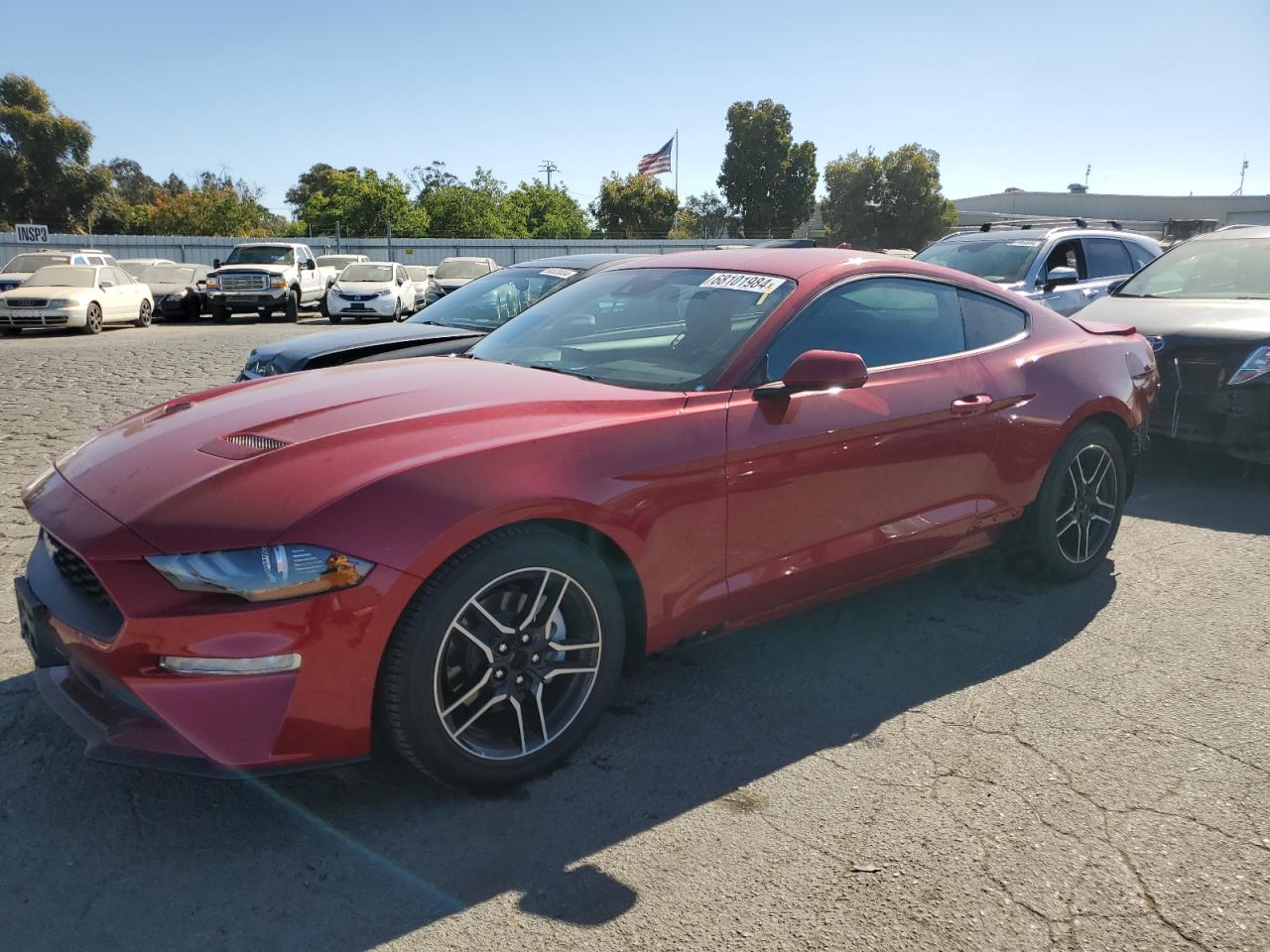 2023 FORD MUSTANG  VIN:1FA6P8TH3P5113269