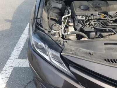2019 Toyota Camry JTNB21HK6K3036528 VIN:JTNB21HK6K3036528