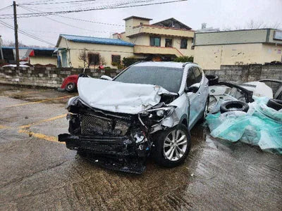 2017 Hyundai Santa FE KMHSW81UBHU750045 VIN:KMHSW81UBHU750045