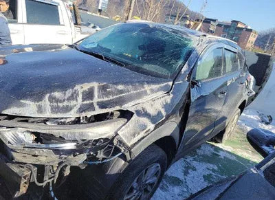 2017 Hyundai Tucson 955KMKMHJ3815GHU2 VIN:955KMKMHJ3815GHU2