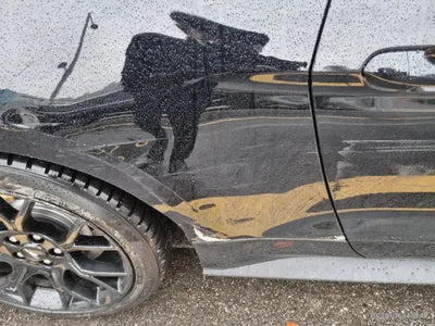 2019 Ford Mustang VIN: