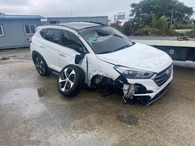 2017 Hyundai Tucson KMHJ581ABHU220419 VIN:KMHJ581ABHU220419