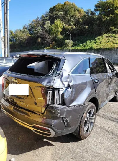 2021 Kia Sorento KNARK81GBMA014905 VIN:KNARK81GBMA014905