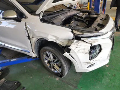 2019 Hyundai Santa FE KMHS581ABLU247207 VIN:KMHS581ABLU247207