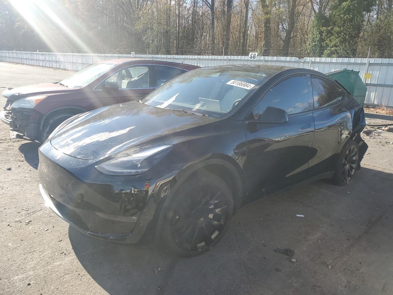 2023 TESLA MODEL Y  VIN:7SAYGDEE1PF850759