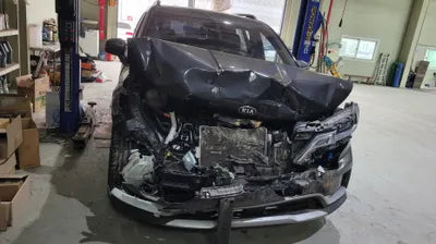 2021 Kia Carnival KNANB81BBMS055562 VIN:KNANB81BBMS055562