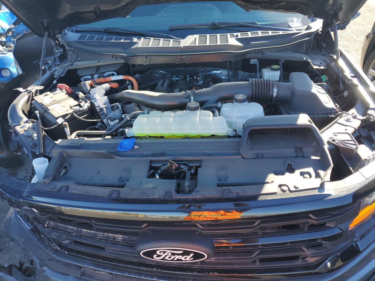 2024 FORD F150 XLT VIN:1FTFW3LD4RFA06922