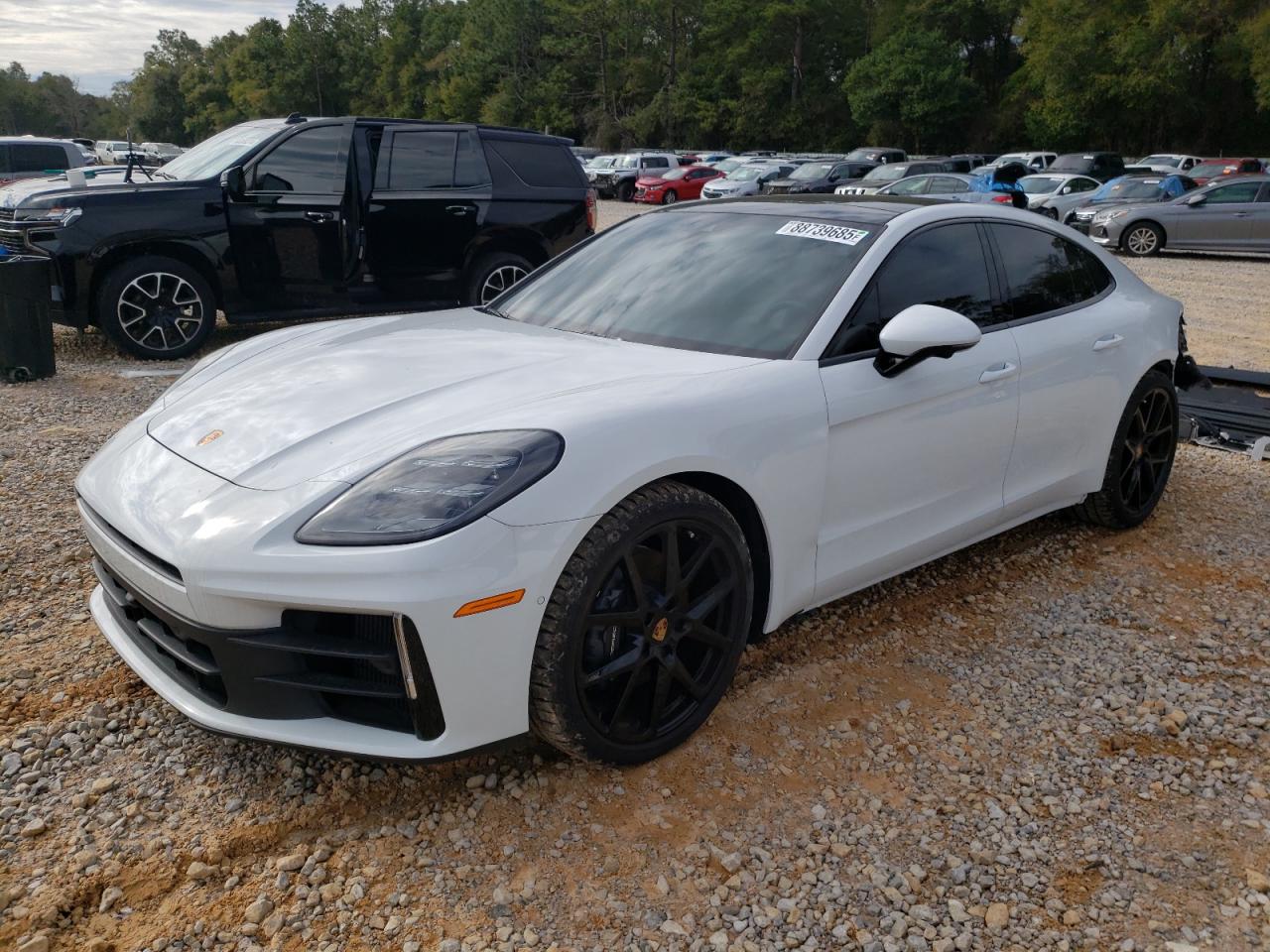 2024 PORSCHE PANAMERA BASE VIN:WP0AA2YA8RL004366