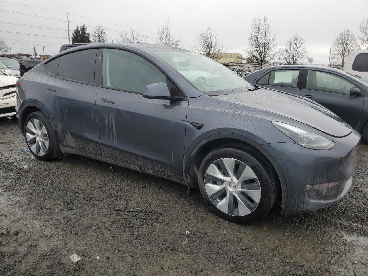 2023 TESLA MODEL Y  VIN:7SAYGDEE2PF879560