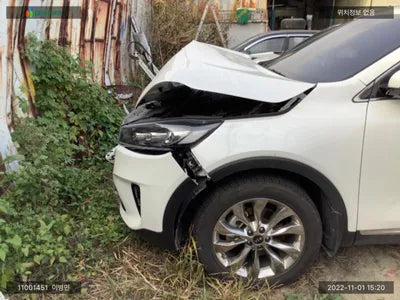 2019 Kia Sorento KNAPG81ABLA555610 VIN:KNAPG81ABLA555610