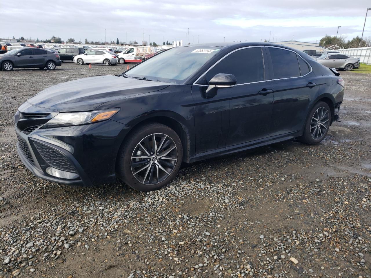 2023 TOYOTA CAMRY SE NIGHT SHADE VIN:4T1G11AK0PU768206