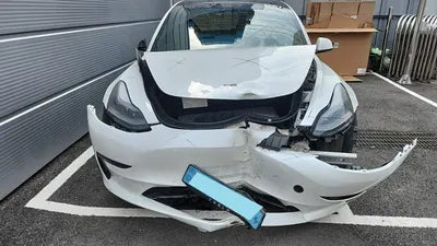 2021 Tesla Model 3 5YJ3E1EAXMF889502 VIN:5YJ3E1EAXMF889502