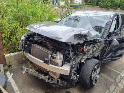 2021 Hyundai Santa FE KMHS281HGMU384949 VIN:KMHS281HGMU384949
