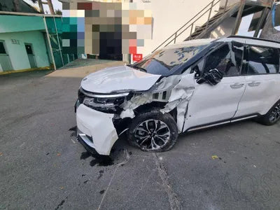 2020 Kia Carnival KNANC81BBMS015175 VIN:KNANC81BBMS015175