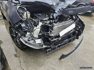 2019 Kia Sportage KNAPP81ABKK643821 VIN:KNAPP81ABKK643821