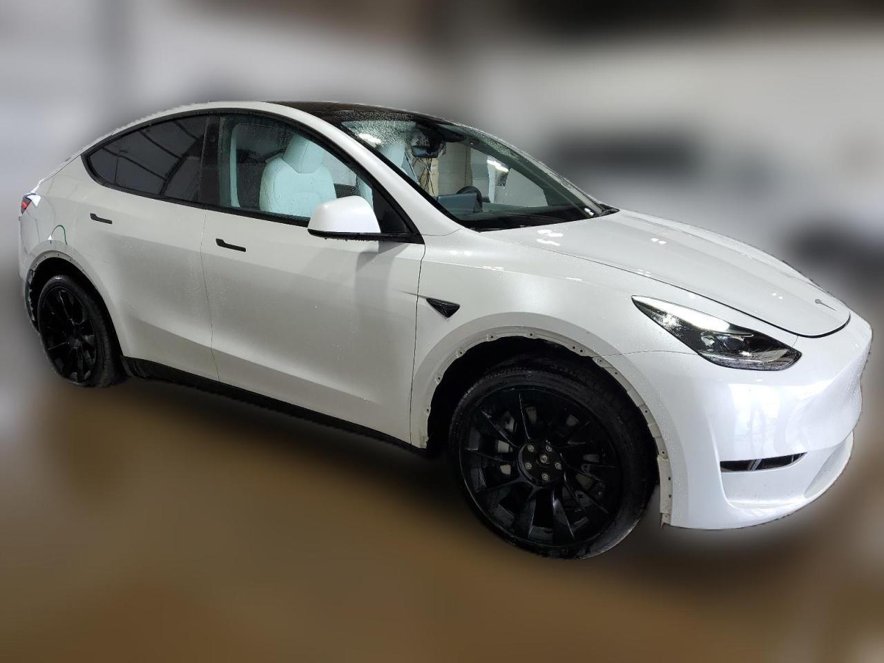 2023 TESLA MODEL Y  VIN:7SAYGDEE2PA190485