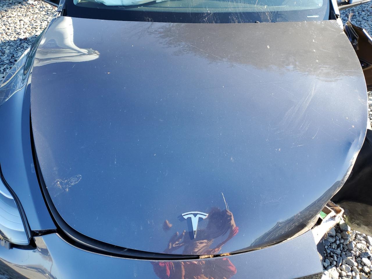 2023 TESLA MODEL Y  VIN:7SAYGAEE6PF846575