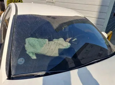 2017 Kia K5 KNAGT41CBHA006980 VIN:KNAGT41CBHA006980