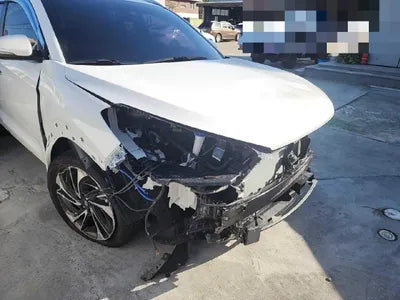 2019 Hyundai Tucson KMHJ5812GKU974503 VIN:KMHJ5812GKU974503